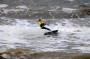 Thumbs/tn_Kite Board Open 2016 zaterdag 029.jpg